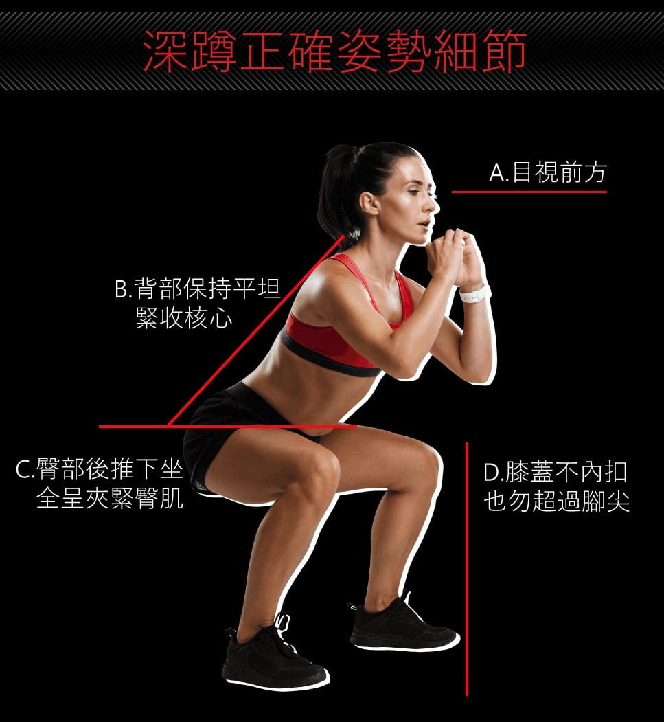 【XOANON洛恩耐運動健身】深蹲架 Super Squat <3段式訓練強度> 2