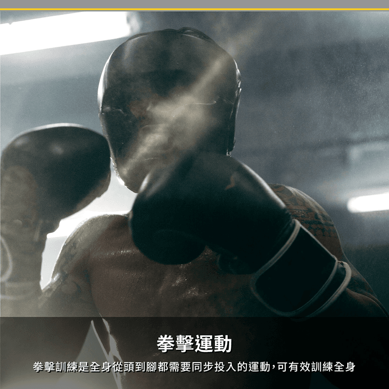 【ABSport】立式拳擊球柱（圓球款）∕拳擊柱∕拳擊訓練∕拳擊速度球 7