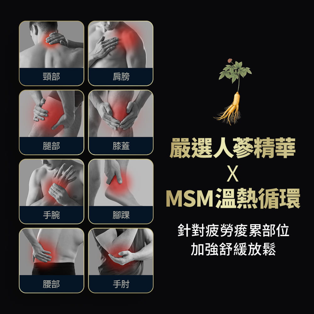 PowerflX_人蔘MSM按摩霜 1