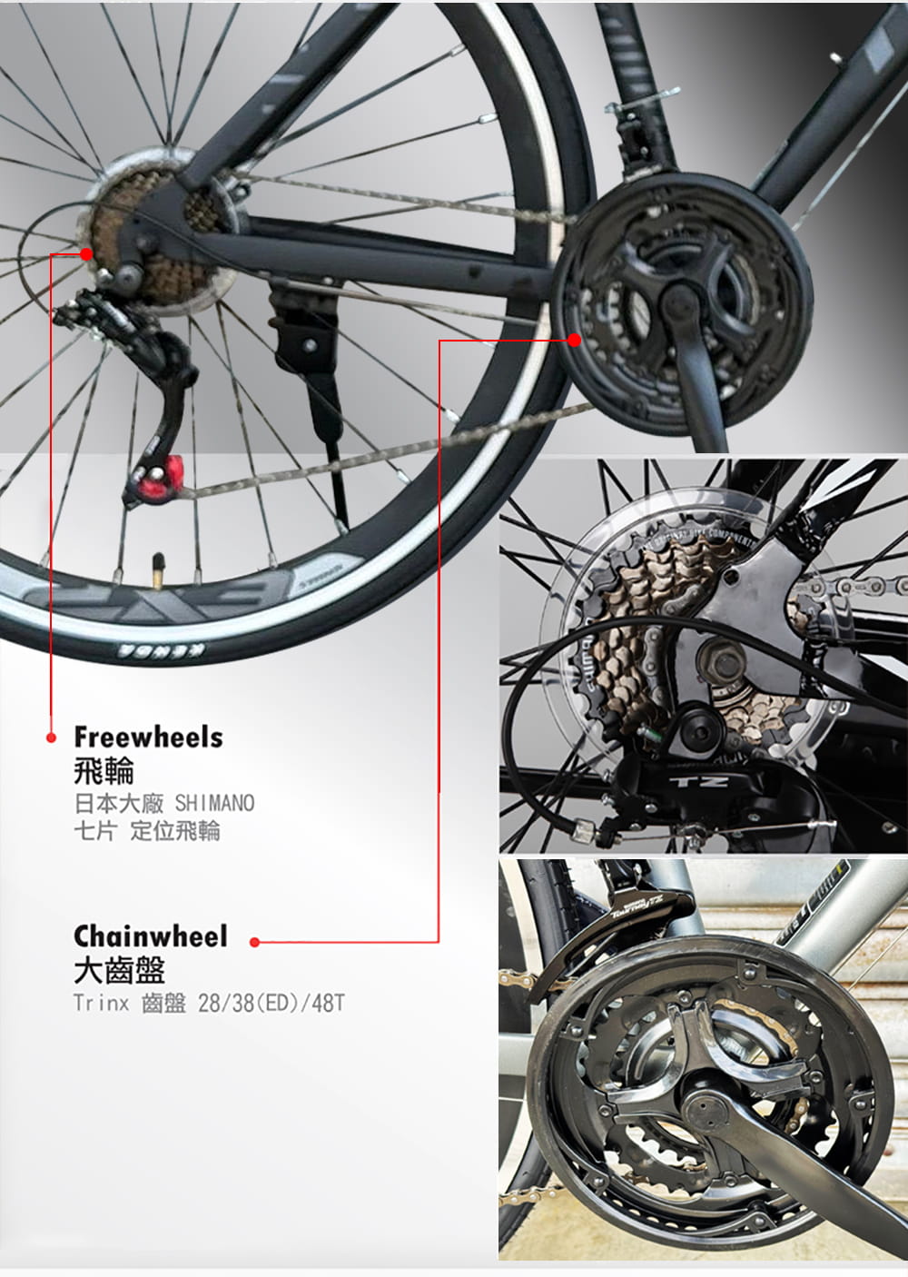 BIKEDNA TEMPO1.0 2026年式 700C輕量鋁合金彎把變速公路車SHIMANO21速 8