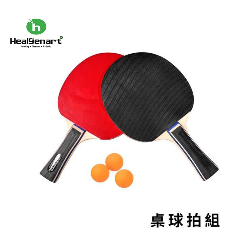 【Healgenart】桌球拍組 0