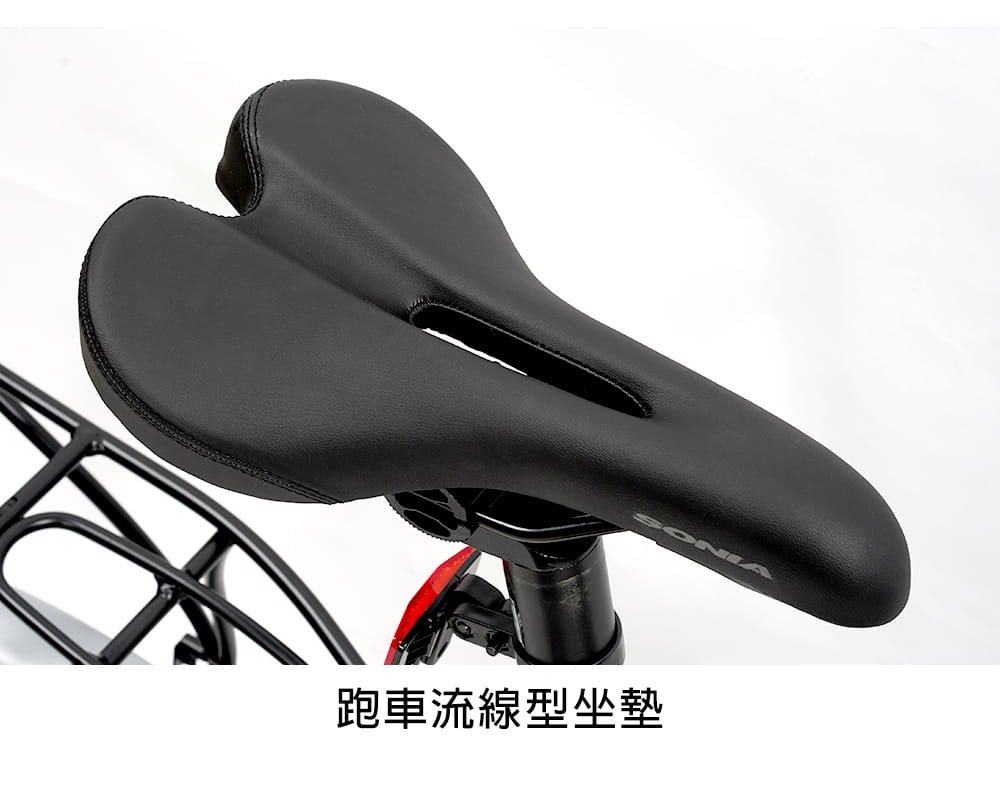 SPORTONE Sonia Today 100 鋁合金高級折疊碟剎Minivelo自行車 9