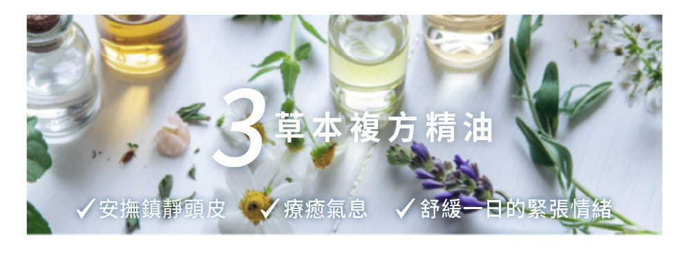 【MALENE】 平衡淨緻蓬彈洗髮露500ml 買大送小(平衡淨緻蓬彈洗髮露20ml) 5