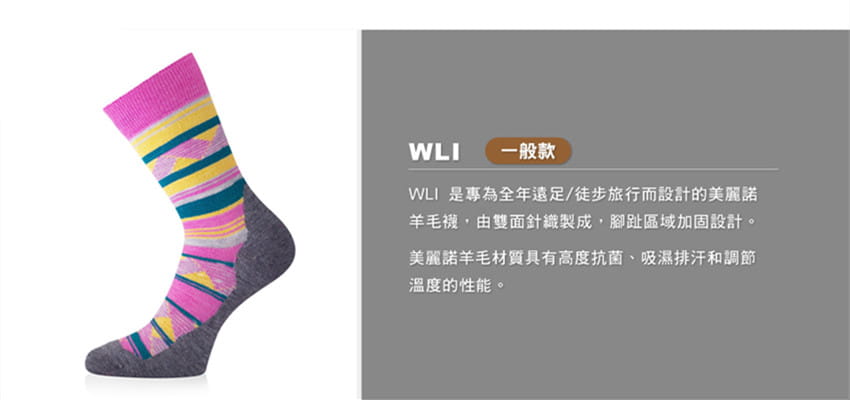 【LASTING 捷克】LT-WLI 美麗諾羊毛中筒健行襪/登山屋 3