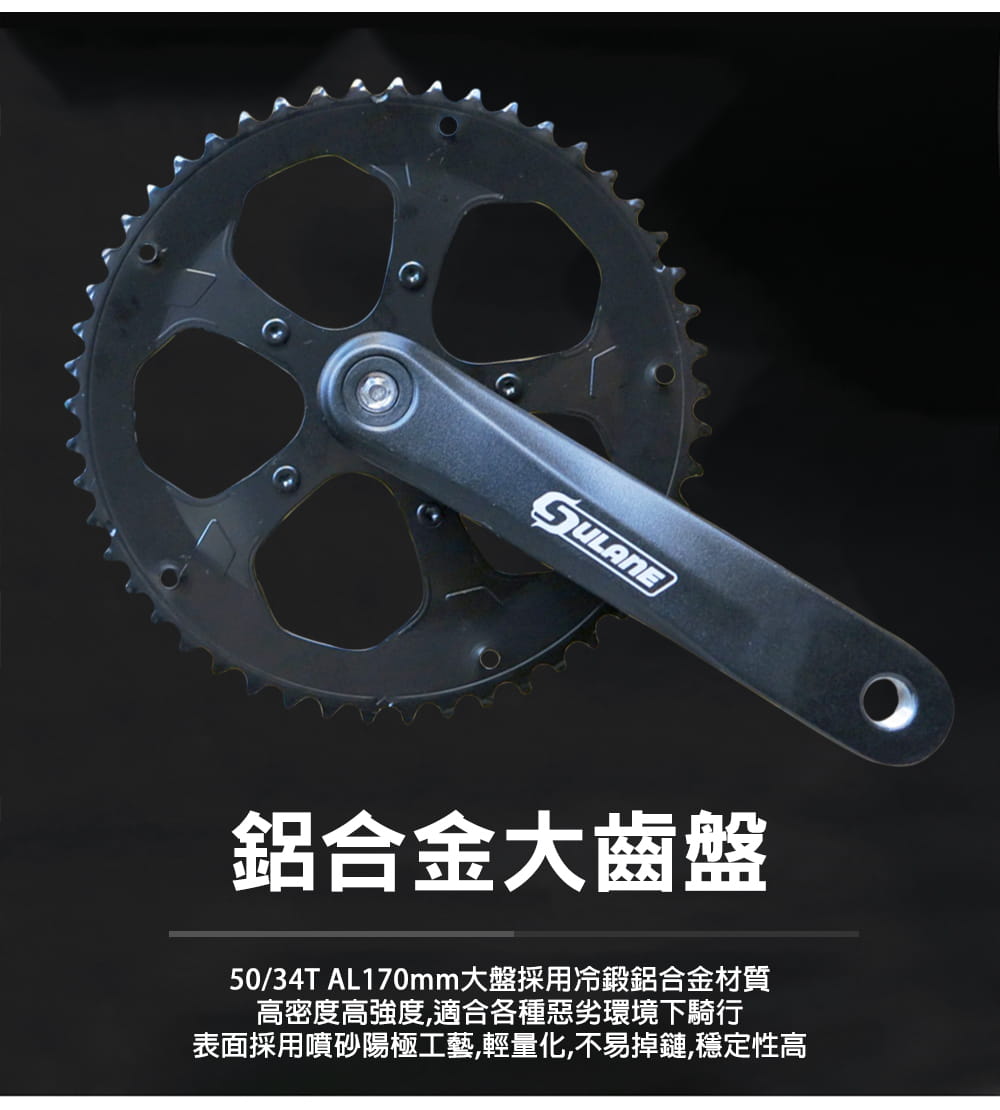 BIKEONE R16 PRO 鋁合金彎把碟煞16速甩把公路車L-TWOO R3套件煞變合一 10