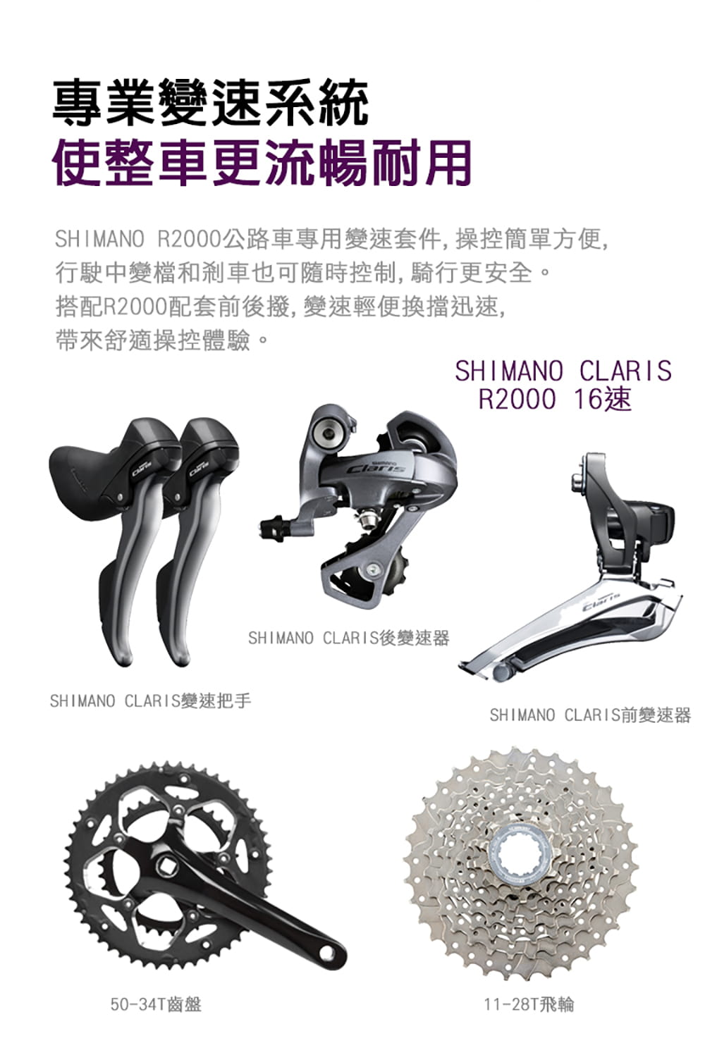 BIKEONE R1 DISC PINEWOOD SHIMANO R2000 16速公路車車 7