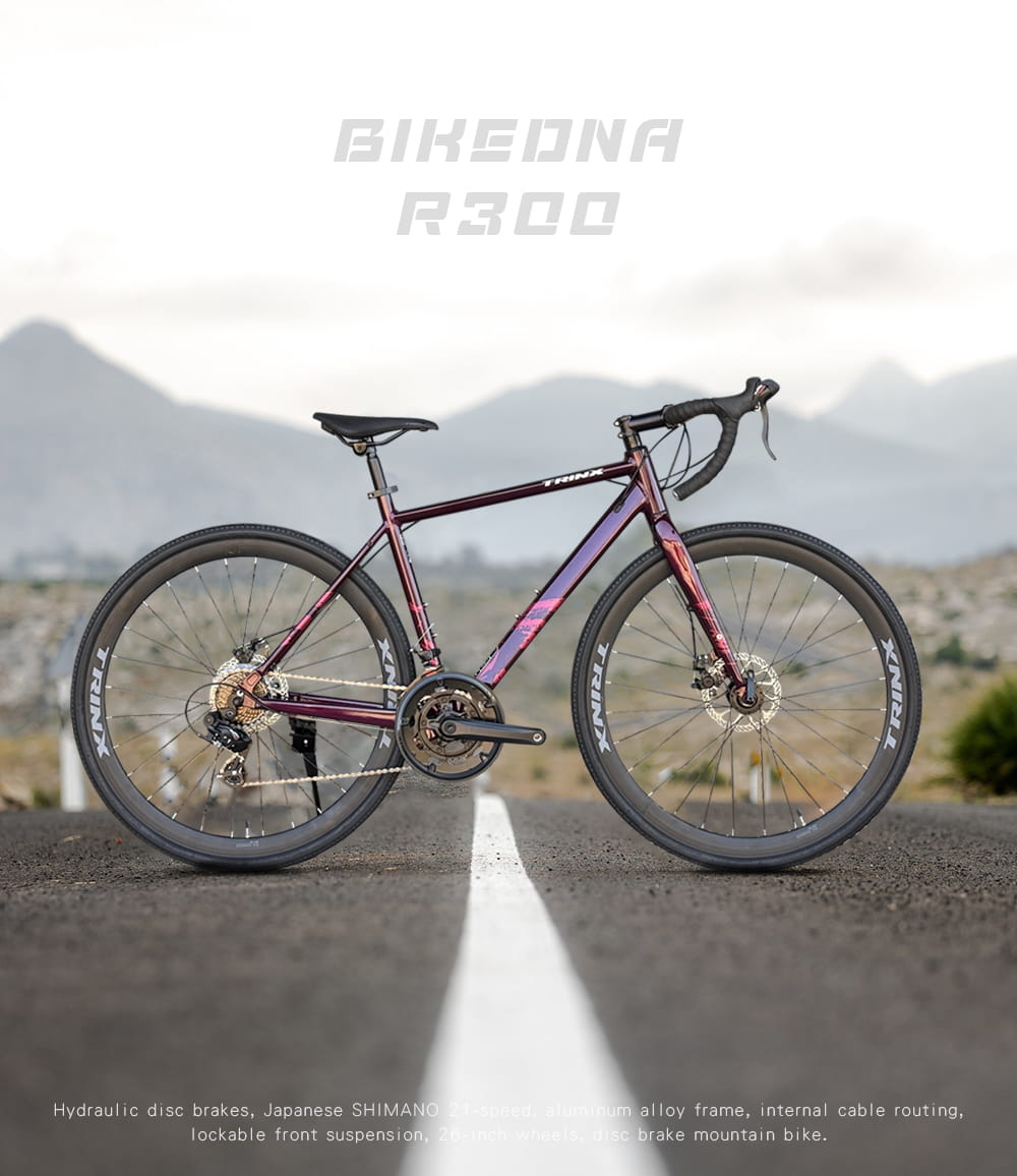 BIKEDNA R300 鋁合金彎把公路車搭載日本SHIMANO,煞變合一 14速線控碟剎前後快拆 14