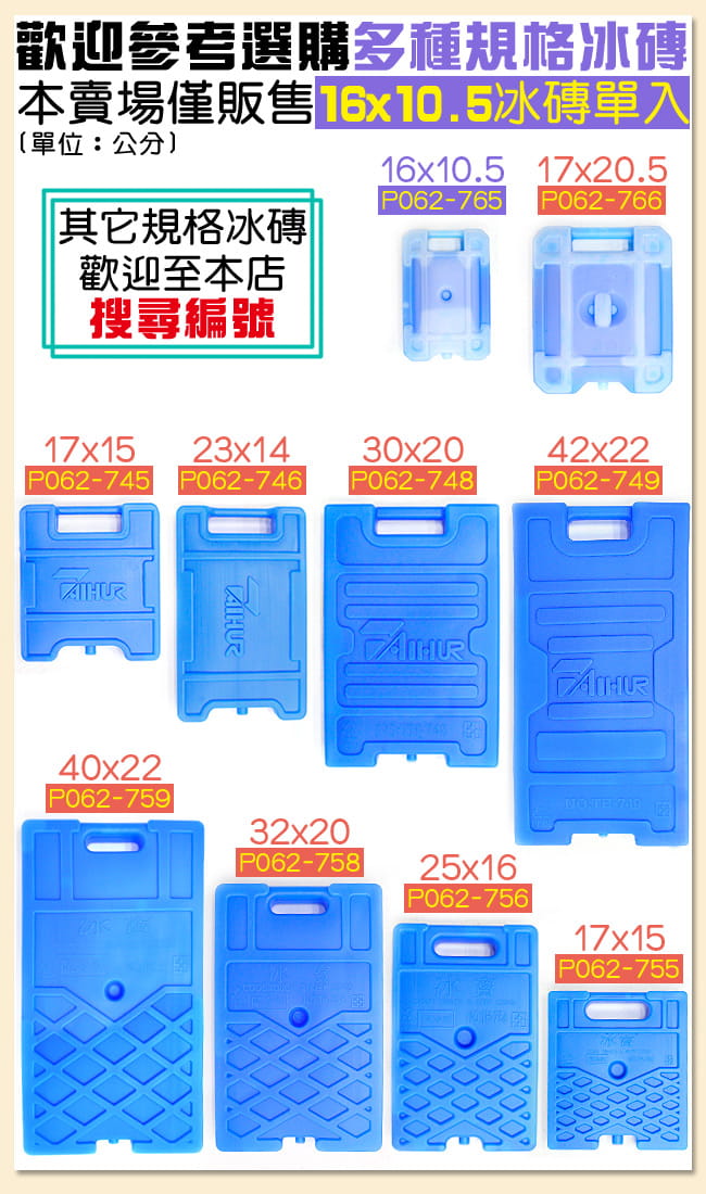 台灣製造 日式保冰磚(小)   保冷磚凍磚冰塊磚 4
