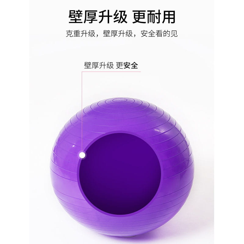 【高品質】瑜珈球 附贈打氣筒 彈力球 3