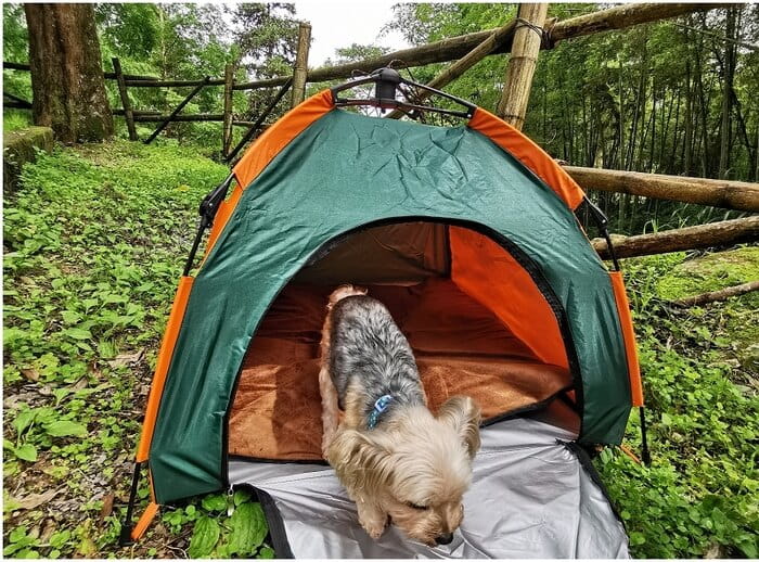 寵物速開帳篷自動型可折疊 附睡墊 防雨防曬 6
