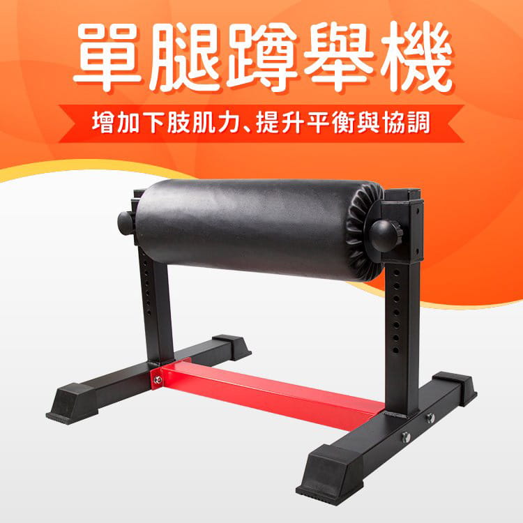 十段單腿蹲舉機 0