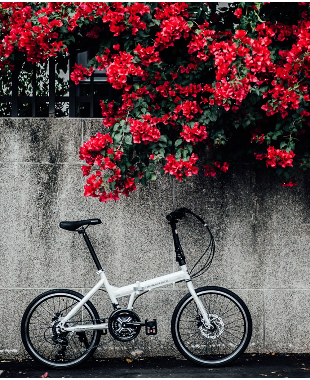 BIKEONE MG7 PLUS 20吋24速SHIMANO碟煞折疊車451輪組小跑指撥煞變合一定位 18
