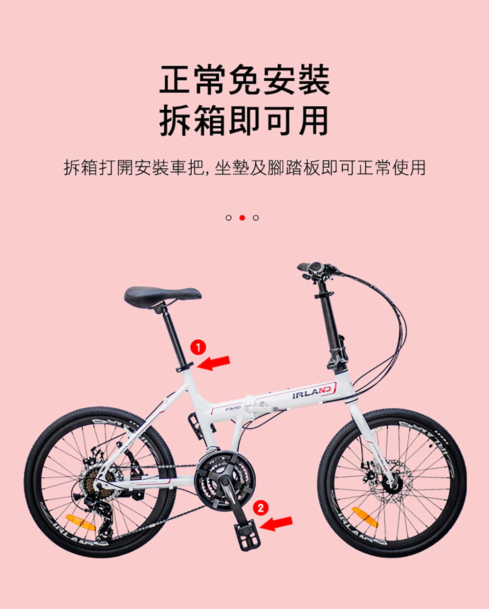 BIKEONE I9 20寸24速鋁合金煞變合一指撥SHIMANO定位折疊車 雙碟剎前後快拆CP小折 8