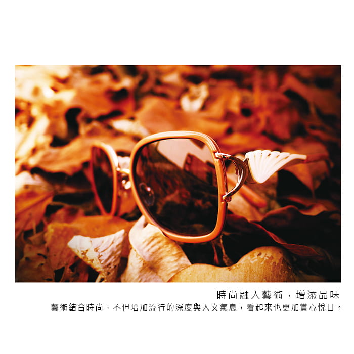 【HORIEN】海儷恩 時尚珊瑚款偏光太陽眼鏡 抗UV (HN 1200 E05) 9