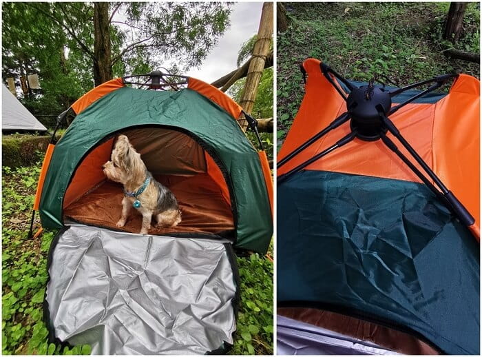 寵物速開帳篷自動型可折疊 附睡墊 防雨防曬 3