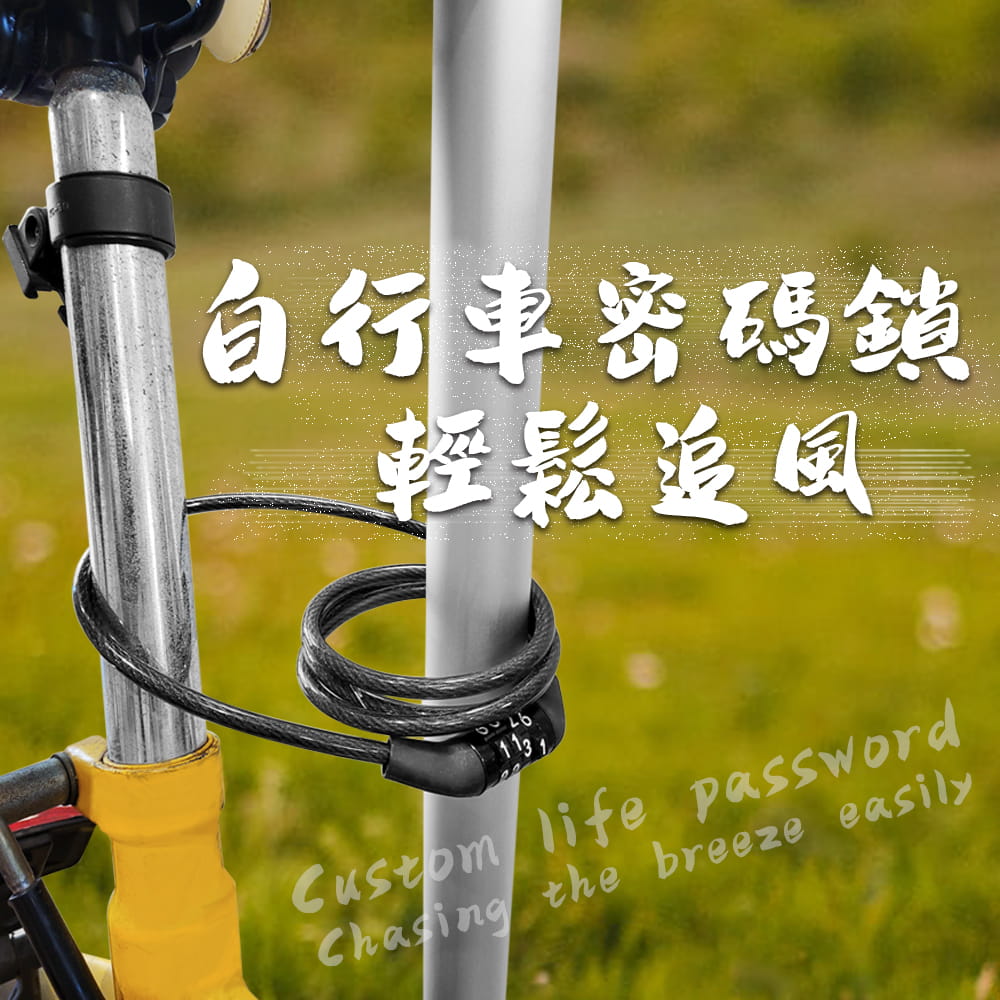 【DIBOTE】  迪伯特 4碼自行車固定密碼鎖 6mm腳踏車密碼鎖 1