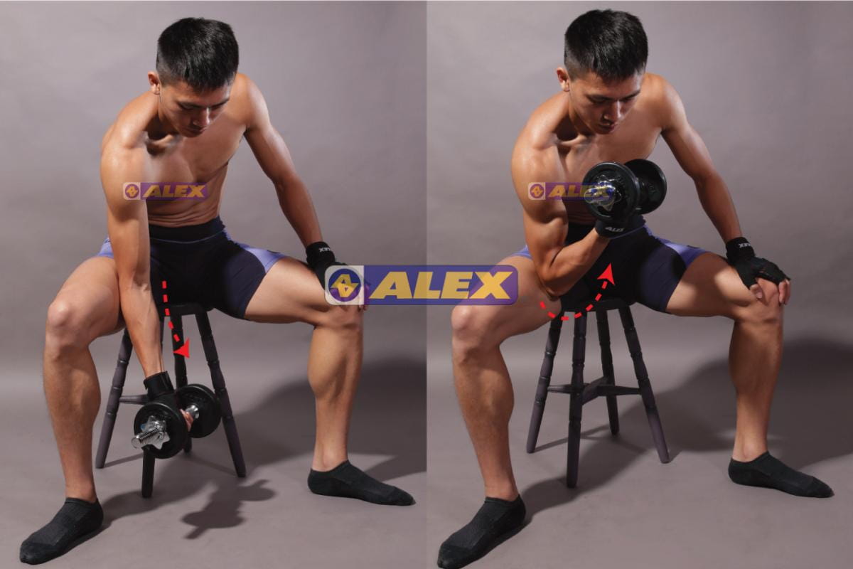 【ALEX】A-23舉重短槓 2.5kg搭配片使用舉重/健身重訓 6