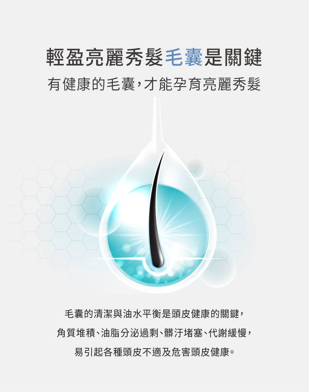 【MALENE】 平衡淨緻蓬彈洗髮露 Pure Clean Shampoo 360ml 3