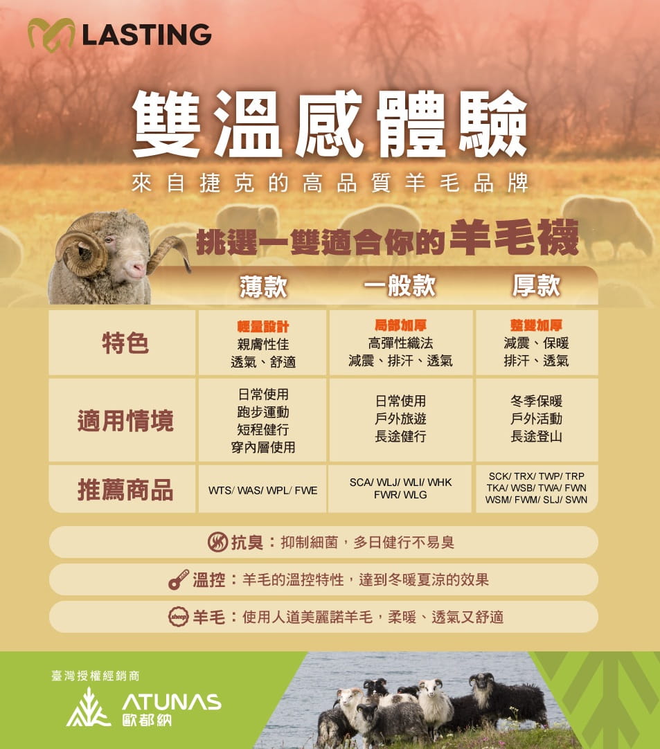 【LASTING 捷克】美麗諾羊毛厚高筒健行襪/小腿襪/滑雪襪(LT-SWN/透氣/排汗/保暖) 6
