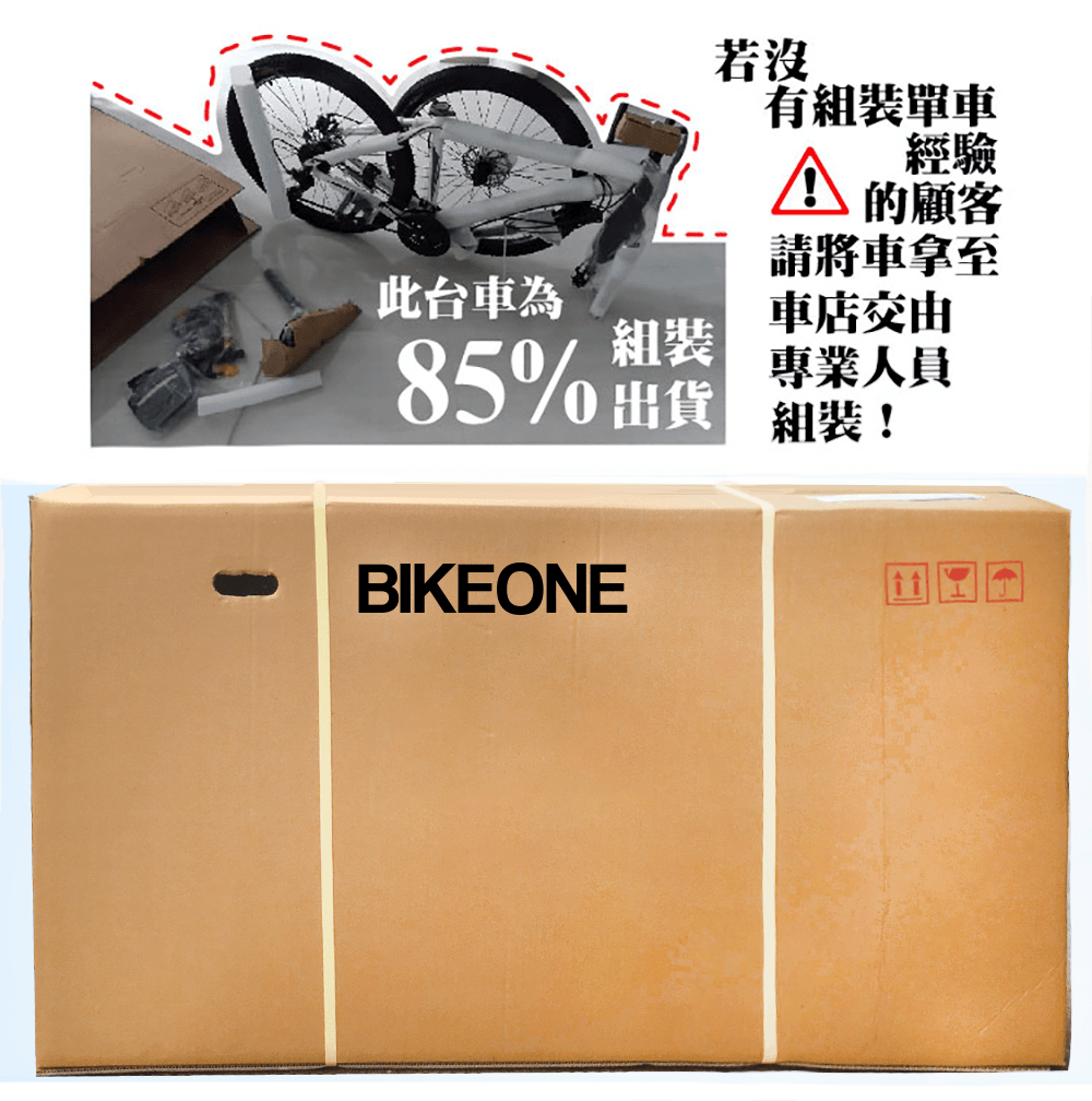 BIKEONE R1 DISC PINEWOOD SHIMANO R2000 16速公路車車 11